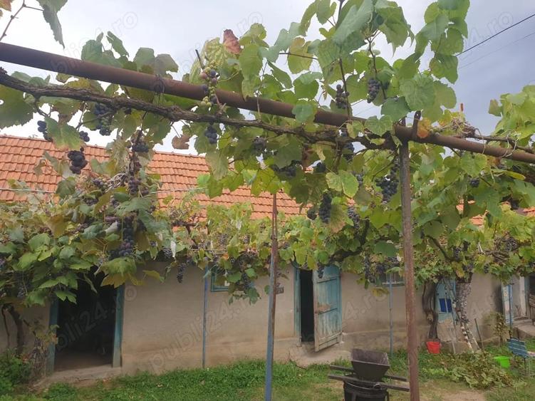 Casă cu 3 camere în Dezești