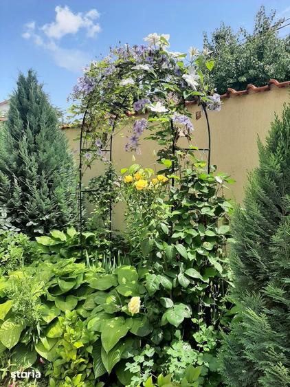 Casă cu 5 camere cu Teren 300 Mp în Chiajna