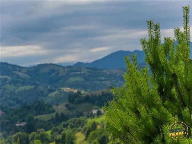 Teren Construcții intravilan de 10335 mp, în Poiana Mărului