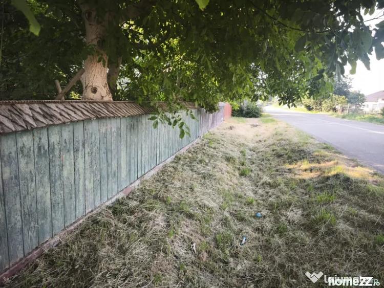 Casă cu 3 camere cu Teren 6500 Mp în Negostina