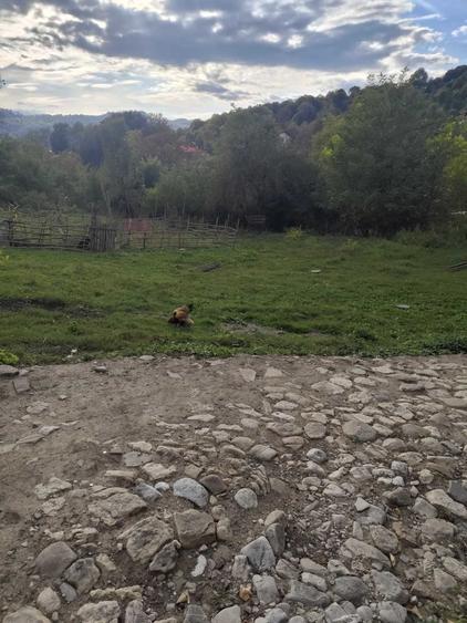 Casă cu 3 camere în Provița de Jos