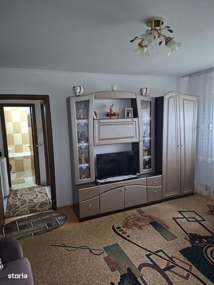 inchiriere apartament cu 2 camere George Enescu - 13