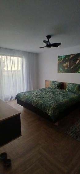 Casă cu 2 camere în Viile Satu Mare