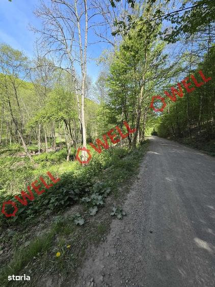 Teren de 5600 mp, în Brăduț