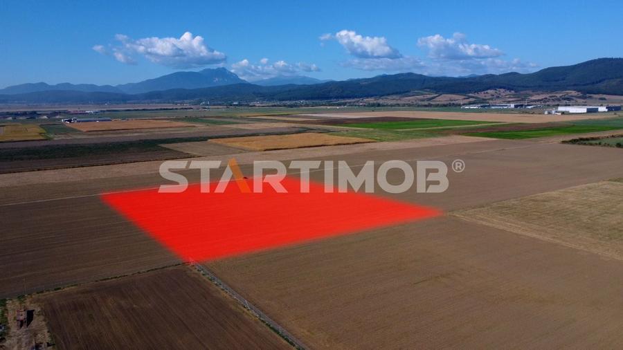 Teren agricol extravilan de 19739 mp, în Exterior Sud