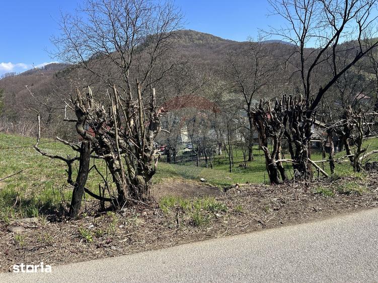 Teren de 1106 mp, în Firiza
