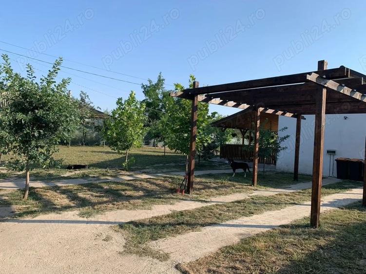 Casă cu 2 camere cu Teren 1250 Mp în Cămineasca