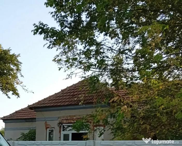 Casa P, 96 mp, teren 1948, Silistea Crucii - 4
