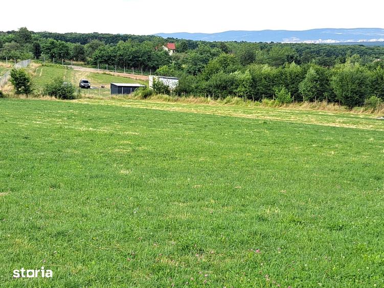 Oportunitate-Teren Extravilan 6200 mp cu vedere Panoramica-Tropinii No - 3