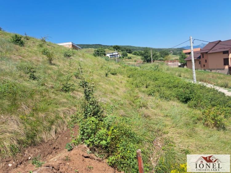 Teren Construcții intravilan de 578 mp, în Micești