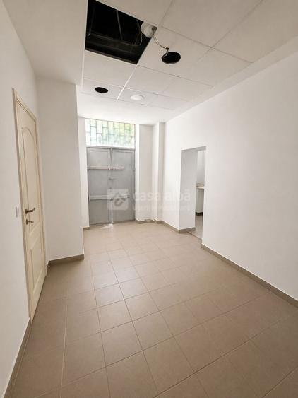 Alexandru cel Bun - la bd, spatiu comercial 100mp, trafic pietonal intens - 4