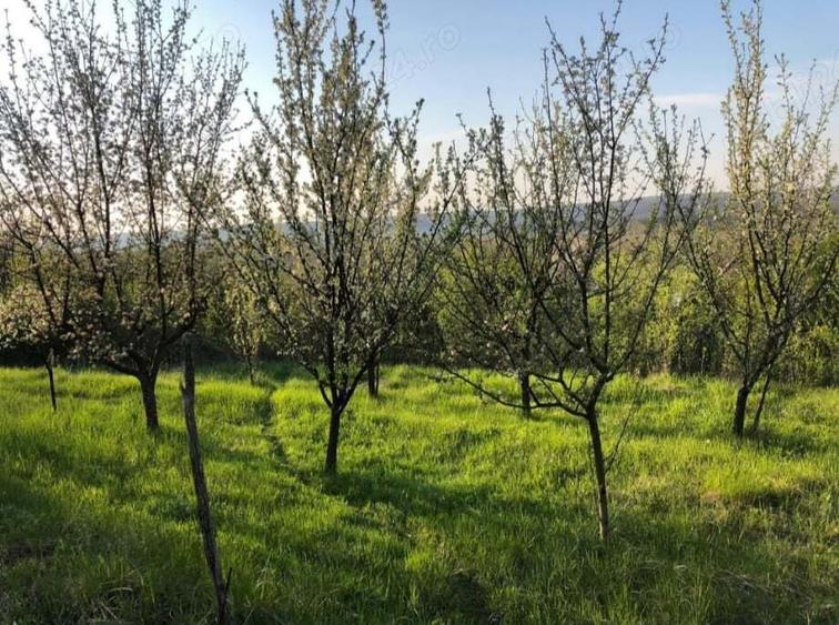 Vand proprietate Gura Motorului - 2