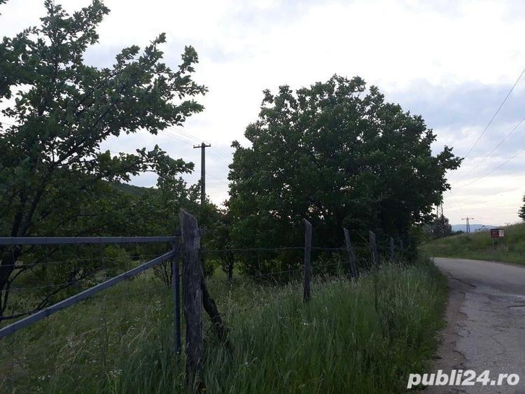 Teren de 5300 mp, în Suseni