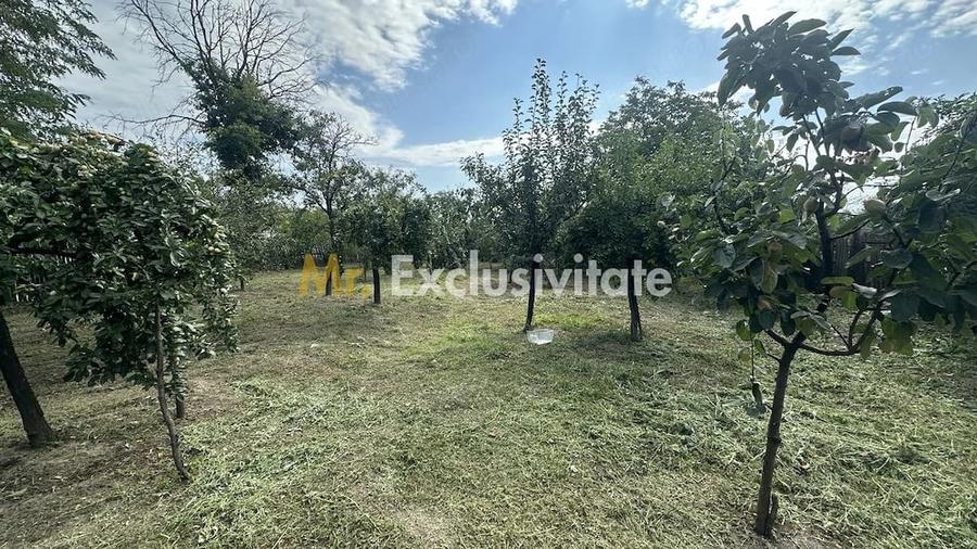 Casă cu Teren 1176 Mp în Lunca