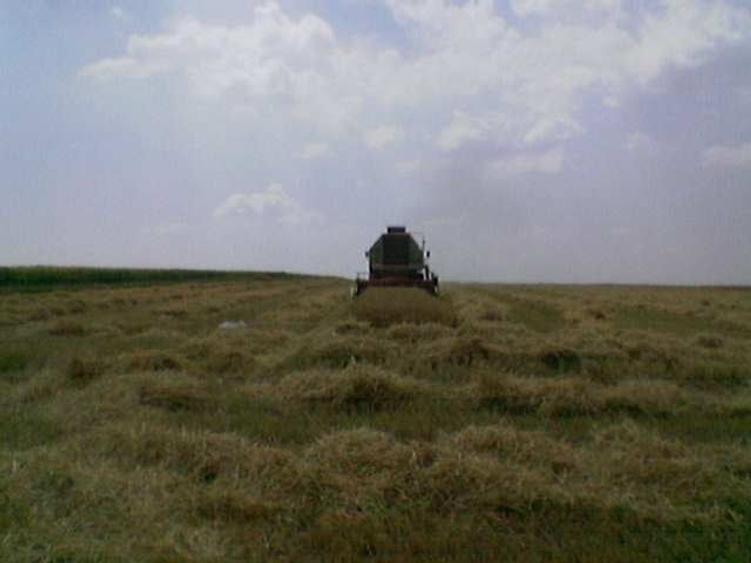 Teren agricol extravilan de 45000 mp, în Mihail Kogălniceanu