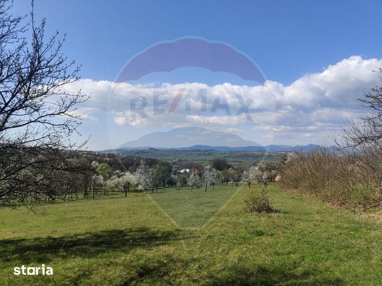 Teren de 1778 mp, în Dumbrăvița
