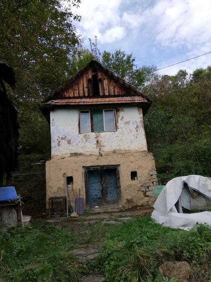 Teren de 11650 mp, în Valea Borcutului