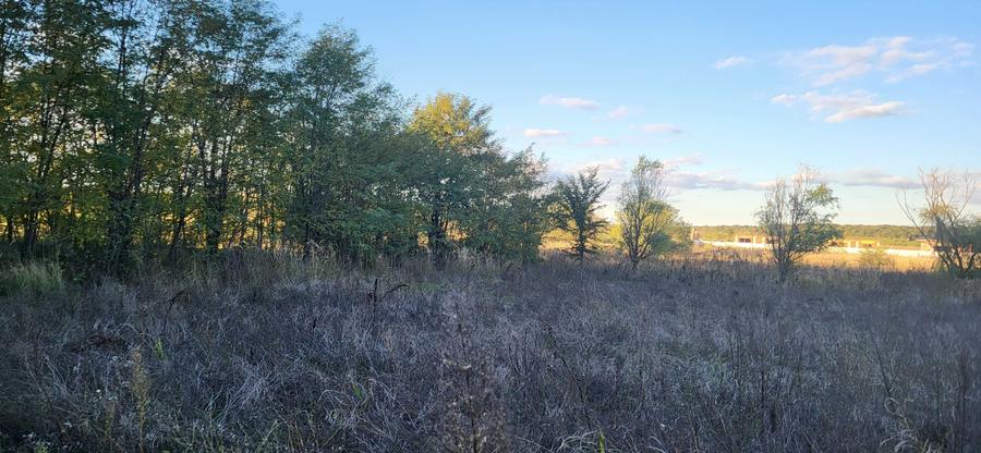 Vanzare direct proprietar teren 600 mp Scrovistea, Balteni, langa gara - 6