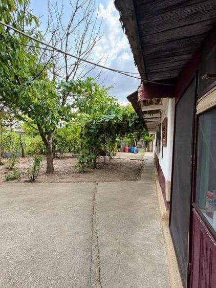 Casă individuală cu 3 camere cu Teren 2500 Mp în Sălcioara