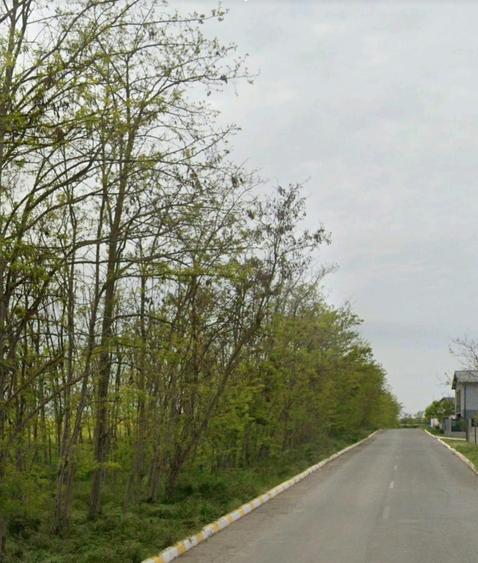 Teren Construcții intravilan de 500 mp, în Valu lui Traian