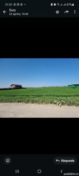 Teren de 5000 mp, în Schitu