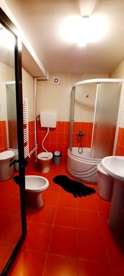 Apartament cu 2 camere decomandat în Siderurgiștilor