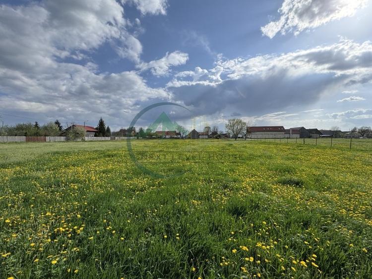 Teren Construcții intravilan de 6179.009765625 mp, în Băcel
