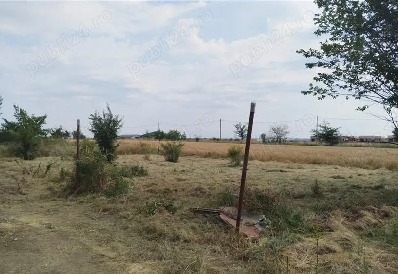 Teren de 310 mp, în Domnești