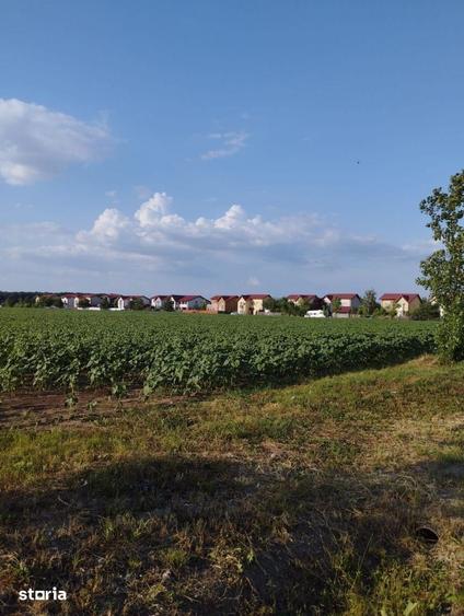 Teren de 5000 mp, în Moara Vlăsiei