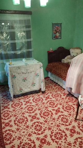 Casă cu Teren 2900 Mp în Izvoru (Gogoșari)