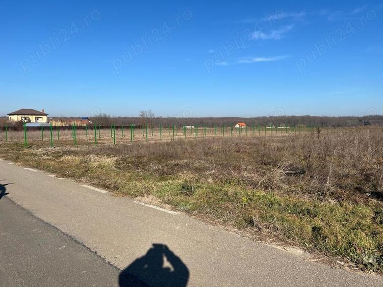 Teren de 1000 mp, în Grădiștea