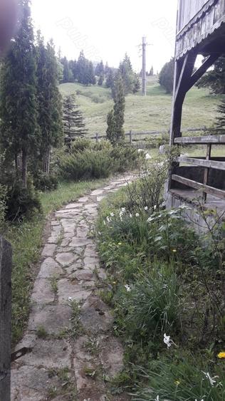 Casă cu 3 camere în Piatra