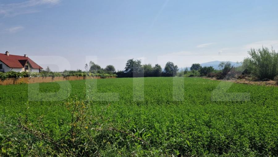 Teren intravilan de vanzare, 3800 mp, zona Vest - 5