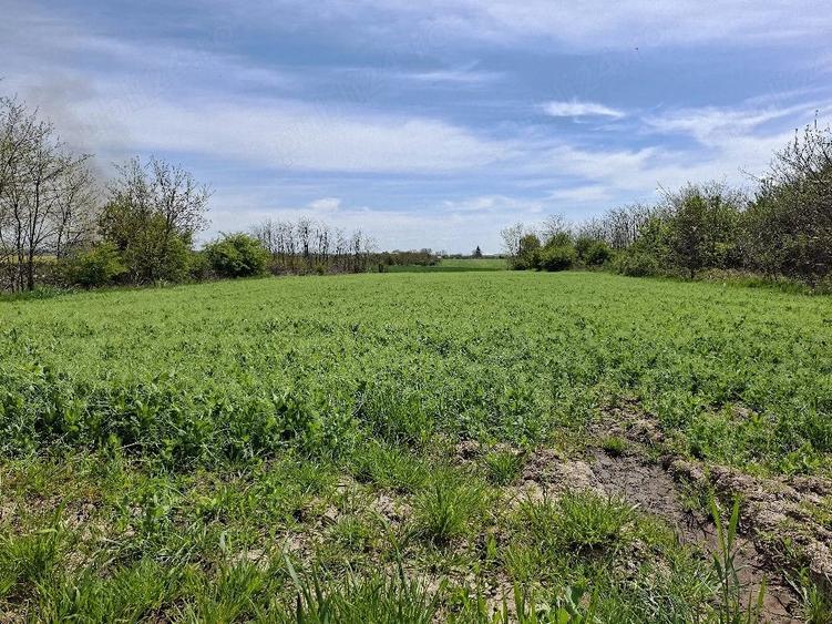 Teren de 2862 mp, în Frumușani