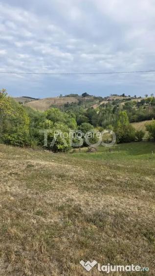 Teren de vanzare 8.300 mp Plesi Loman judetul Alba - Plesi (Alba)