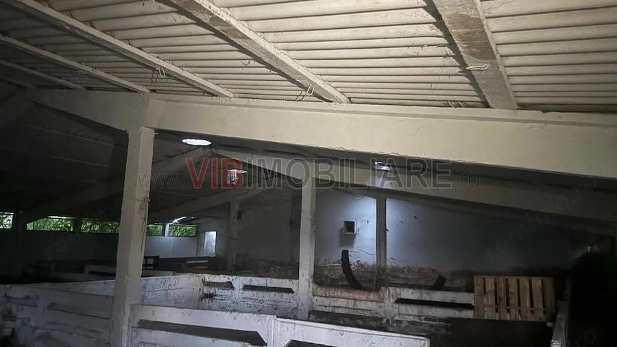 Teren de 8100 mp, în Mărtinești