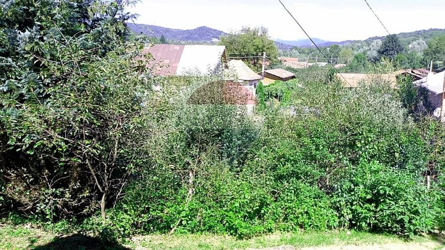 Casă individuală cu 4 camere cu Teren 6676 Mp în Provița de Sus
