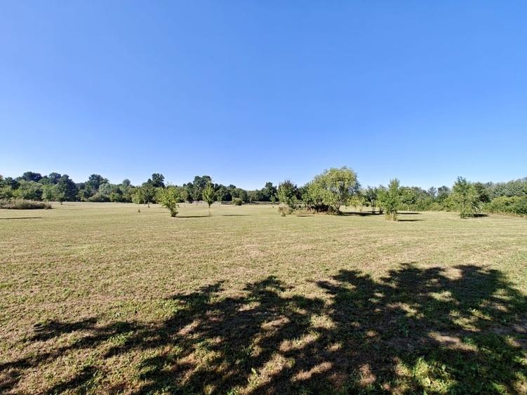 Teren agricol extravilan de 6000 mp, în Ghiroda