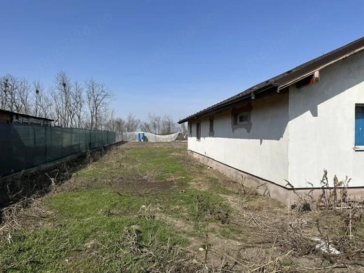 Casă cu Teren 2000 Mp în Fierbinții de Jos