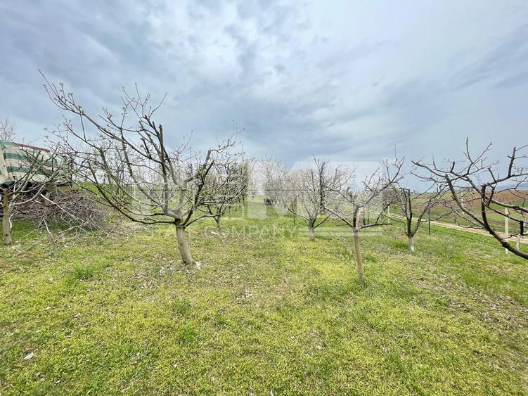Teren Construcții intravilan de 24 mp, în Lisaura