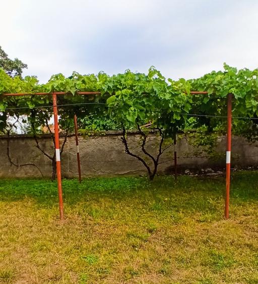 Casă individuală cu 2 camere cu Teren 1210 Mp în Bunloc