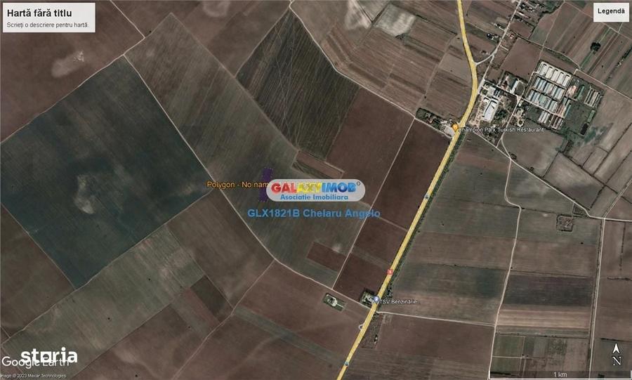 Adunatii Copaceni teren intravilan 14700 mp,deschidere 62m - 1