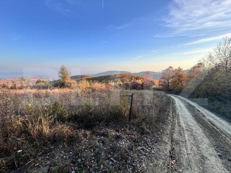 Teren Construcții intravilan de 5300 mp, în Aiud