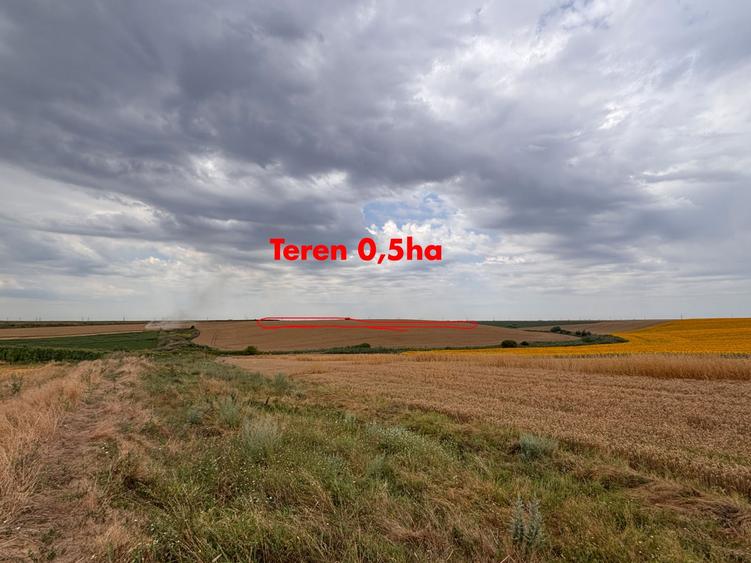 Teren agricol extravilan de 120000 mp, în Vlad Țepeș