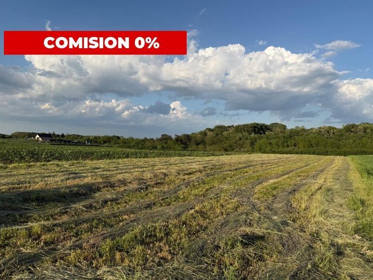 Teren Construcții intravilan de 1000 mp, în Est