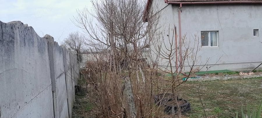 Casa sat pluta com Butoiesti - 9