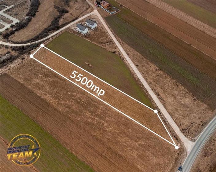 Teren Construcții intravilan de 5500 mp, în Exterior Est