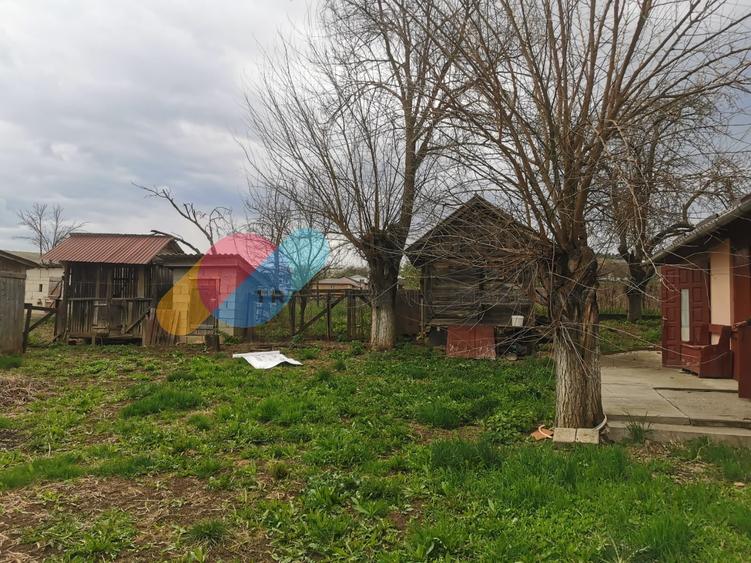 Casă individuală cu 3 camere cu Teren 8000 Mp în Mociu