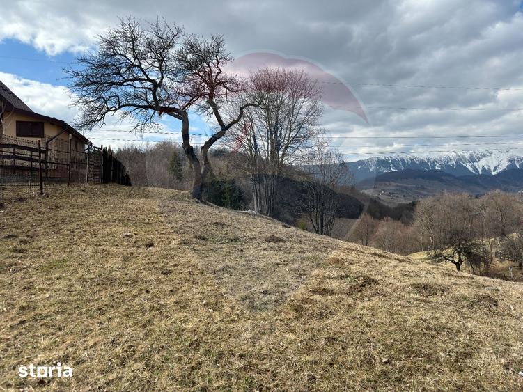 Teren de 3784 mp, în Fundata