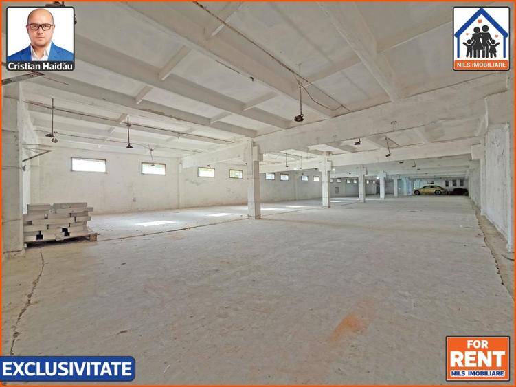 Hale de inchiriat in 1 Decembrie Ilfov | NILS Imobiliare - 4